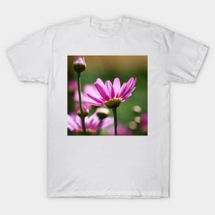 Paris Daisy T-Shirt